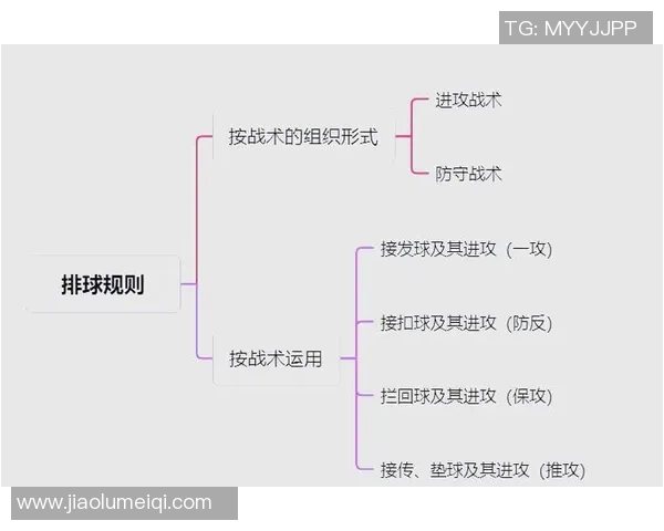 深度解析上海排球队员个人能力对比与战术影响分析