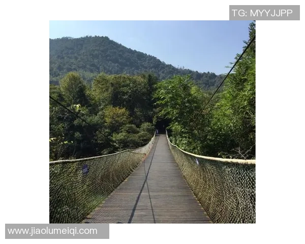 罗凯文的成长之路：从普通少年到卓越领袖的奋斗历程与心路历程