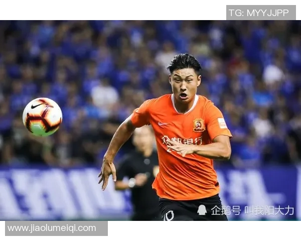 北京排球队个人能力引发热议球员表现与团队协作的深度探讨